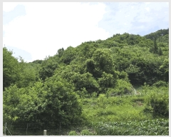  2025Ÿ51199  걺 Ҽ  957-7      (Ӿ)