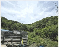  2025Ÿ51199  걺 Ҽ  957-7      (Ӿ)