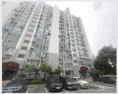  2025Ÿ51243  ûֽ 籸 ϵ 2537 ︶̺Ʈ 502 12 1206ȣ  Ʈ