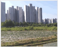  2025Ÿ��51249  ����