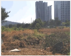  2025Ÿ��51249  ����