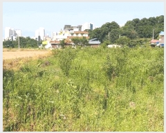  2025Ÿ��51249  ����