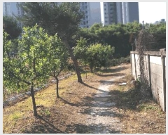  2025Ÿ��51249  ����