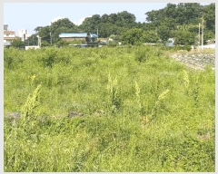  2025Ÿ��51249  ����