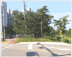  2025Ÿ��51249  ����