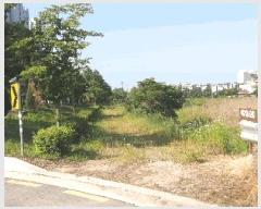  2025Ÿ��51249  ����