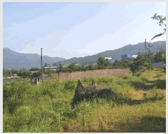  2025Ÿ��51249  ����