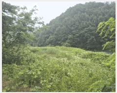  2025Ÿ51399   ܸ Ƽ 23-3      (1)