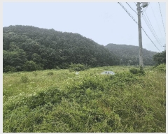  2025Ÿ51399   ܸ Ƽ 23-3      (1)