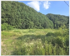  2025Ÿ51399   ܸ Ƽ 23-3      (1)