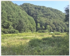  2025Ÿ51399   ܸ Ƽ 23-3      (1)