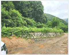  2025Ÿ��51413 ��� ��õ�� ���� ���븮 174      ����(����)���