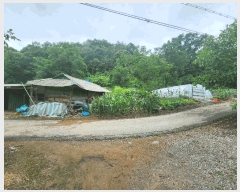  2025Ÿ��51413 ��� ��õ�� ���� ���븮 174      ����(����)���