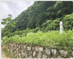  2025Ÿ��51413 ��� ��õ�� ���� ���븮 174      ����(����)���