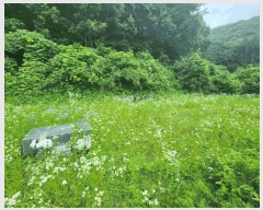  2025Ÿ��51413 ��� ��õ�� ���� ���븮 174      ����(����)���