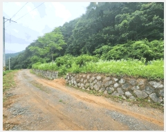  2025Ÿ��51413 ��� ��õ�� ���� ���븮 174      ����(����)���