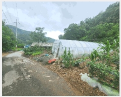  2025Ÿ��51413 ��� ��õ�� ���� ���븮 174      ����(����)���