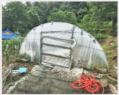  2025Ÿ��51413 ��� ��õ�� ���� ���븮 174      ����(����)���