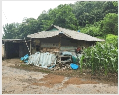  2025Ÿ��51413 ��� ��õ�� ���� ���븮 174      ����(����)���