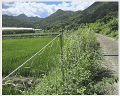  2025Ÿ��51489 ��� ������ ��ܸ� ������ 230-1      ����(��1)���