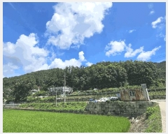  2025Ÿ��51489 ��� ������ ��ܸ� ������ 230-1      ����(��1)���