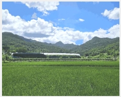  2025Ÿ��51489 ��� ������ ��ܸ� ������ 230-1      ����(��1)���