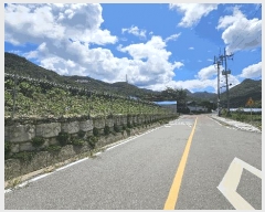  2025Ÿ��51489 ��� ������ ��ܸ� ������ 230-1      ����(��1)���