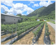  2025Ÿ��51489 ��� ������ ��ܸ� ������ 230-1      ����(��1)���