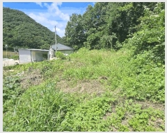  2025Ÿ��51489 ��� ������ ��ܸ� ������ 230-1      ����(��1)���