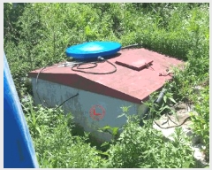  2025Ÿ��51531 ��� ������ ������ �꼺�� ��53-4      ����,â�����