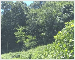  2025Ÿ��51531 ��� ������ ������ �꼺�� ��53-4      ����,â�����