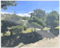  2025Ÿ��51710 ��� ���� ������ ���� 2-1      ���ð��