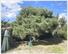  2025Ÿ��51710 ��� ���� ������ ���� 2-1      ���ð��