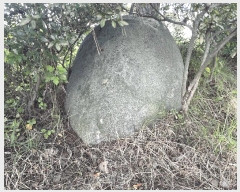  2025Ÿ��51710 ��� ���� ������ ���� 2-1      ���ð��