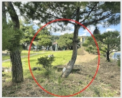  2025Ÿ��51710 ��� ���� ������ ���� 2-1      ���ð��