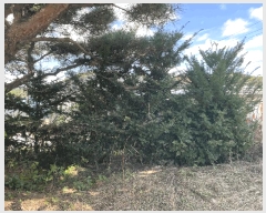  2025Ÿ��51710 ��� ���� ������ ���� 2-1      ���ð��