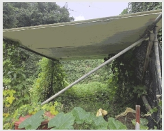  2025Ÿ��51761 ��� û�ֽ� û���� ��â�� �ı⸮ 348     ����(����)���