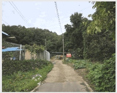  2025Ÿ��51761 ��� û�ֽ� û���� ��â�� �ı⸮ 348     ����(����)���