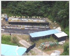  2025Ÿ��51761 ��� û�ֽ� û���� ��â�� �ı⸮ 348     ����(����)���