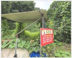  2025Ÿ��51761 ��� û�ֽ� û���� ��â�� �ı⸮ 348     ����(����)���