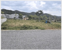  2025Ÿ��51768 ��� ��õ�� ����� ���׸� 708      ����(����)���