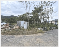  2025Ÿ��51768 ��� ��õ�� ����� ���׸� 708      ����(����)���