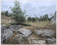  2025Ÿ��51768 ��� ��õ�� ����� ���׸� 708      ����(����)���