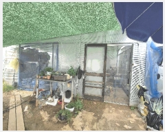  2025Ÿ��51768 ��� ��õ�� ����� ���׸� 708      ����(����)���