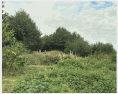  2025Ÿ��51775  �����