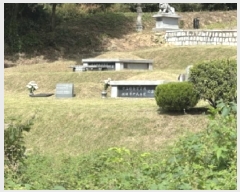  2025Ÿ��51775  �����