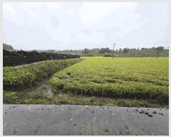  2025Ÿ��51781  ����