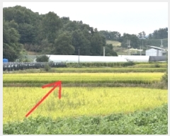  2025Ÿ��51781  ����