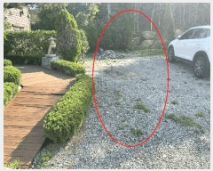  2025Ÿ��51837 ��� ��õ�� ��õ�� ������ 301-12      �ܵ�����,�����ð��