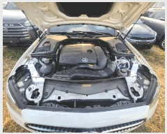  2025Ÿ��51864  �������